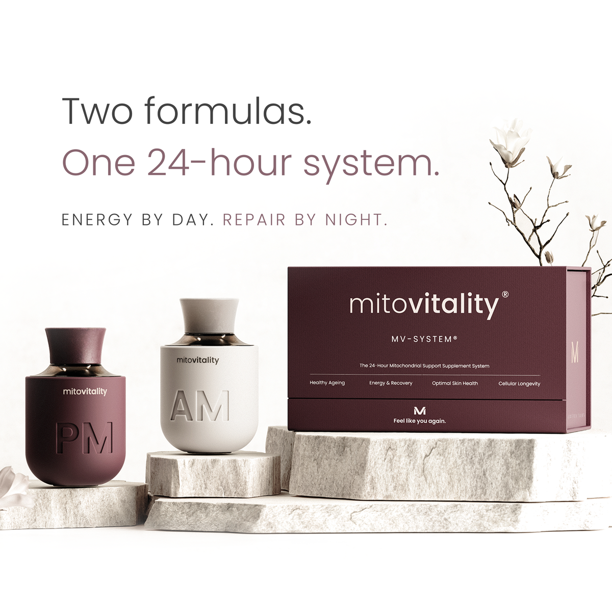 MV-SYSTEM®