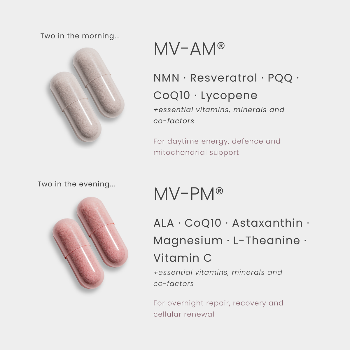 MV-SYSTEM®