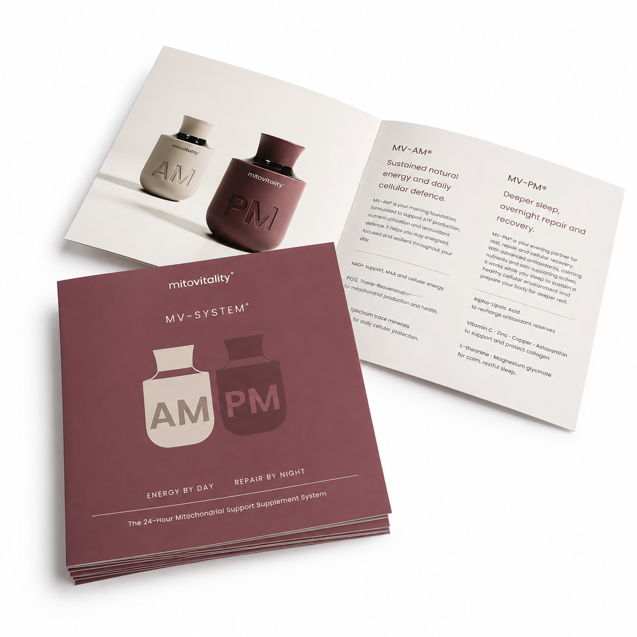 MV-SYSTEM Booklets (v1.2) Set of 50